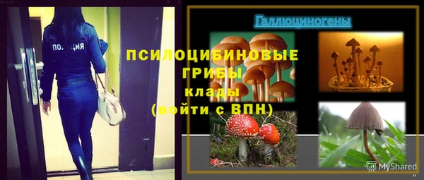 кокаин Алексеевка